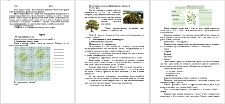 0601xiao-976a-940x436.png