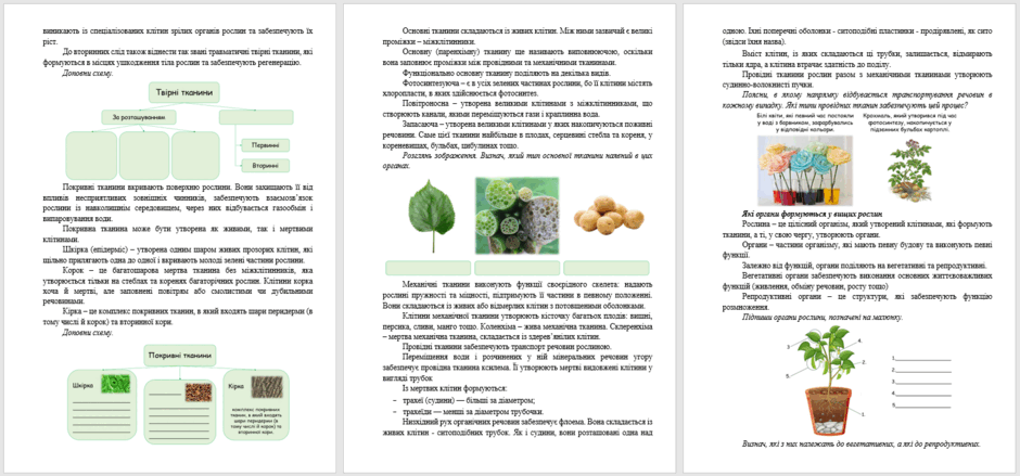0601xiaq-538d-940x439.png