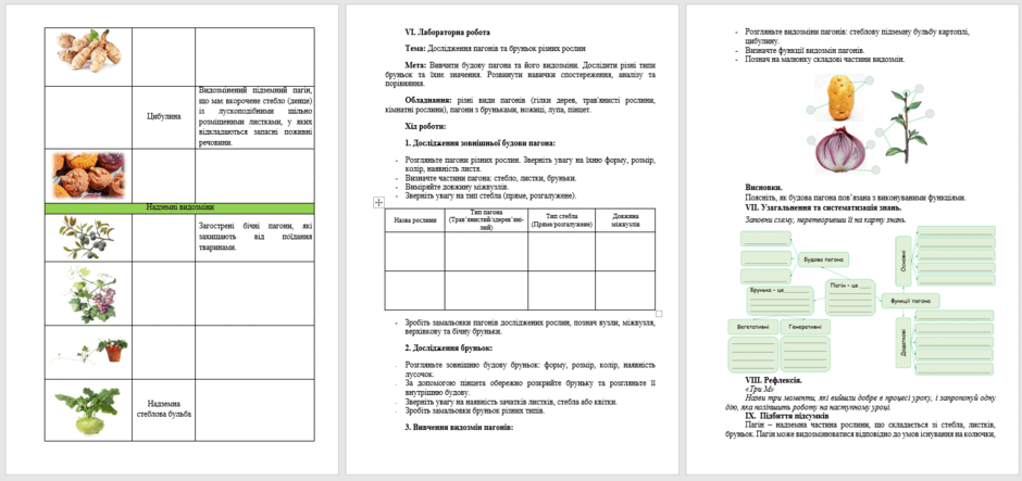 0601xie0-e656-940x443.png