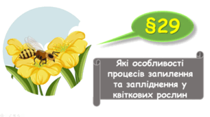   7 клас НУШ. Які особливості процесів запилення та запліднення у квіткових рослин
