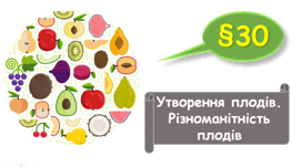   7 клас НУШ. Утворення плодів. Різноманітність плодів