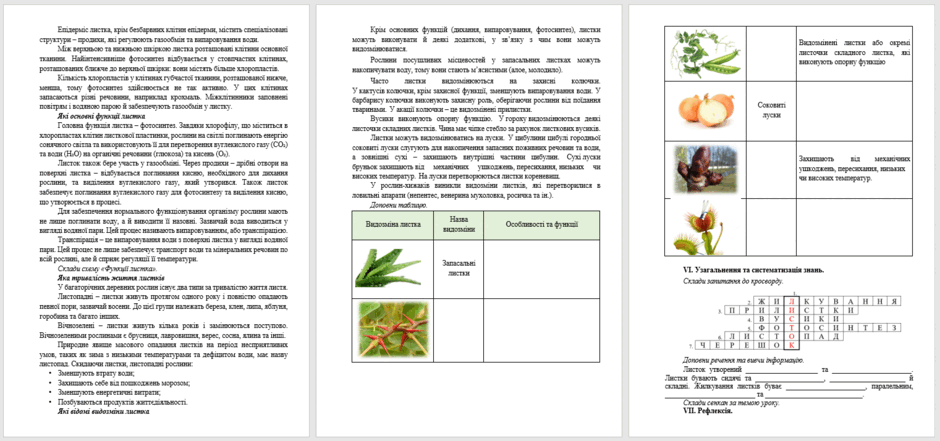 0601xiwc-101e-940x441.png