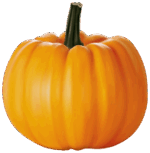 0601xjtb-987c-150x153.png