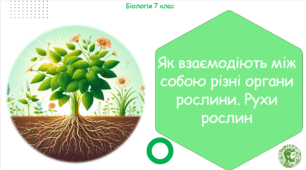 Урок на тему "Як взаємодіють між собою різні органи рослини. Рухи рослин" (Конспект, презентація, робочі аркуші)