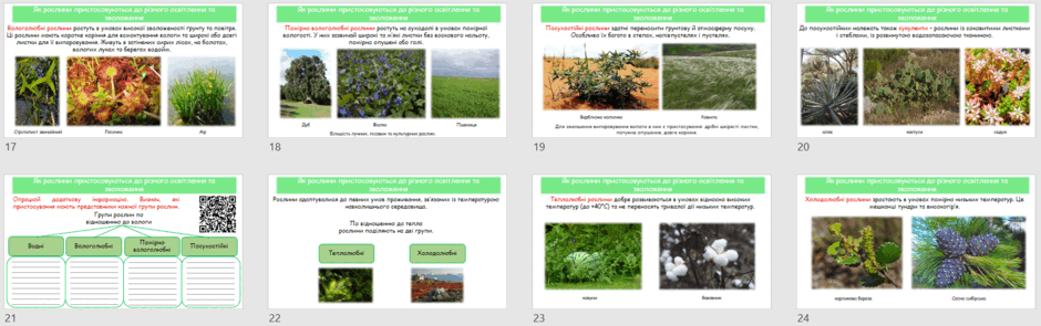 0601xk1j-7567-940x295.png