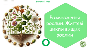 Урок на тему "Розмноження рослин. Життєві цикли вищих рослин" (Конспект, презентація, робочі аркуші)