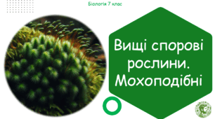 Урок на тему "Вищі спорові рослини. Мохоподібні" (Конспект, презентація, робочі аркуші)
