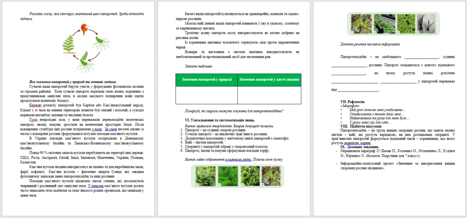 0601xnos-5348-940x440.png