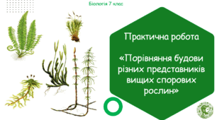 Практична робота "Порівняння будови різних представників вищих спорових рослин"