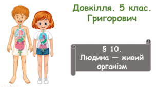 Людина — живий організм