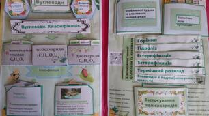 Інтерактивна папка лепбук "Полісахариди"