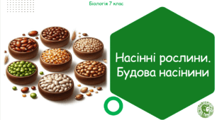 Урок на тему "Насінні рослини. Будова насінини" (Конспект, презентація, робочі аркуші)