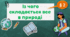 Із чого складається все в природі