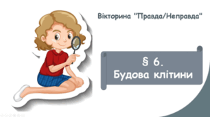 Вікторина "Правда/Неправда" з теми "Будова клітини"