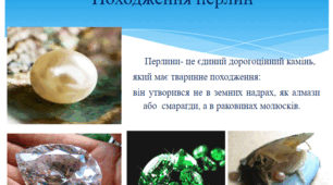 Презентація "Як утворюються перлини"