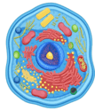 0601xr8y-9922-178x208.png