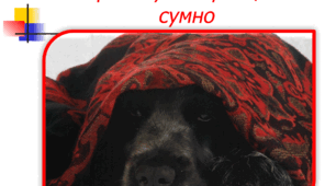 НУШ. Емоції та настрій дитини. Як покращити настрій.