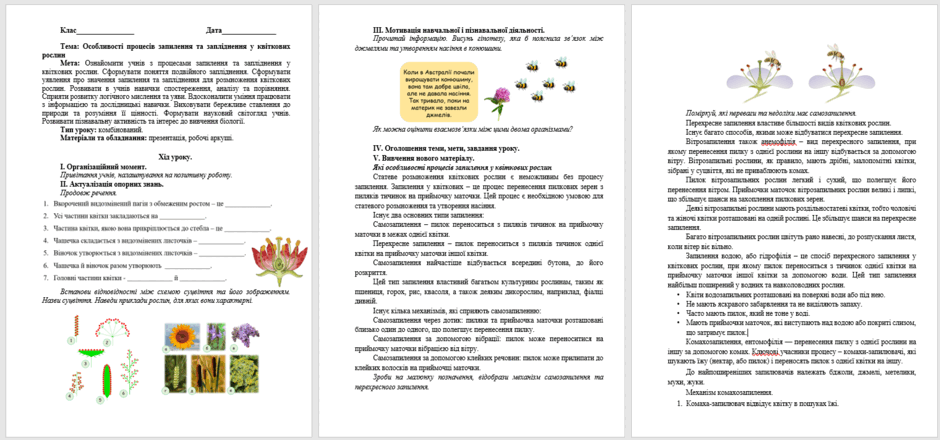 0601xtld-ef24-940x440.png