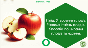 Урок на тему "Плід. Утворення плодів. Різноманітність плодів. Способи поширення плодів та насіння" (Конспект, презентація, робочі аркуші)