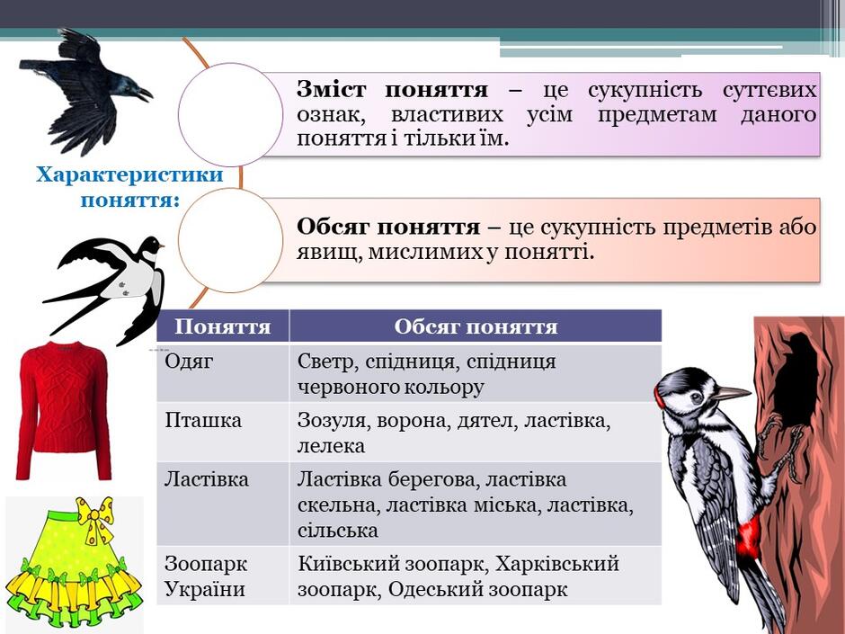 0601xvwc-177d-940x705.jpg