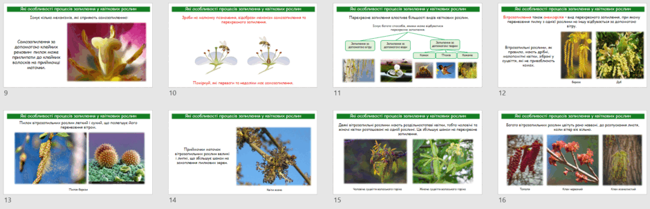 0601xwev-a61a-940x302.png
