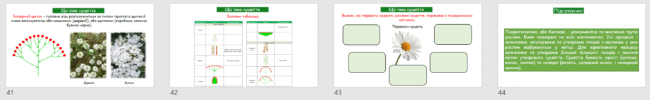 0601xwn4-f8bf-940x145.png