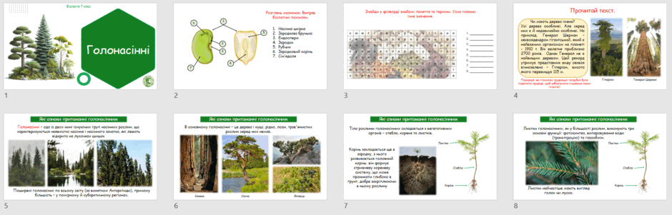 0601xwww-37a4-940x301.png