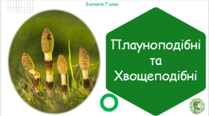Урок на тему "Плауноподібні та Хвощеподібні" (Конспект, презентація, робочі аркуші)
