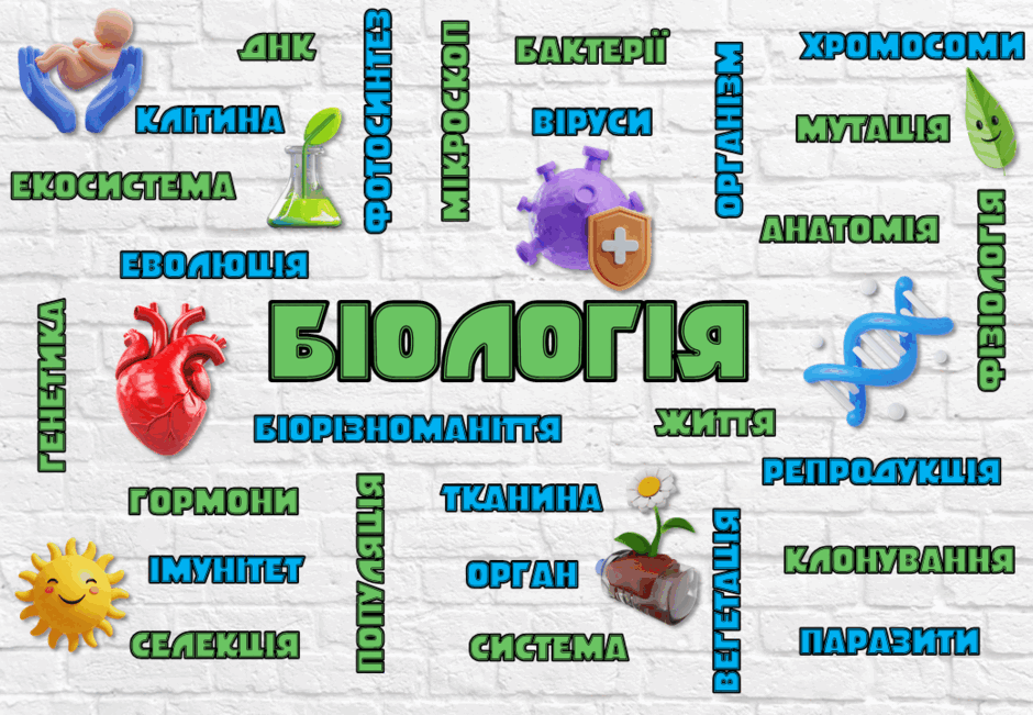 0601xxll-eb0b-940x651.png