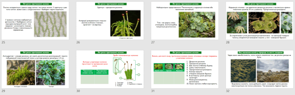 0601xxmw-81c1-940x303.png