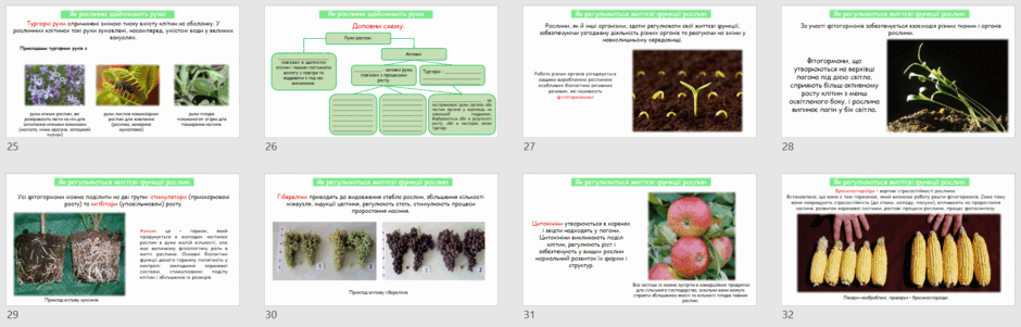0601xxu8-d81e-940x301.png