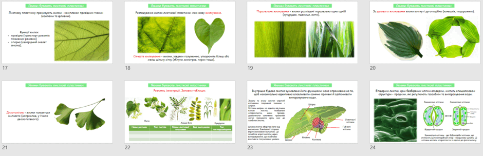 0601xy6w-a248-940x304.png