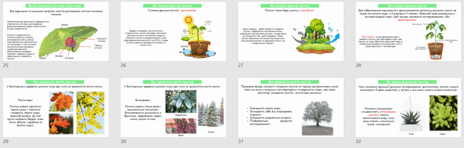 0601xy6x-9102-940x301.png
