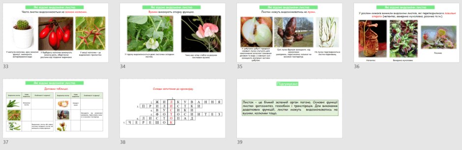 0601xy6y-084d-940x307.png