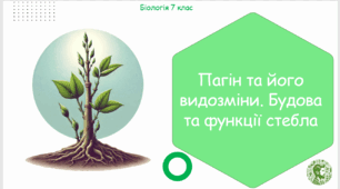 Урок на тему "Пагін та його видозміни. Будова та функції стебла" (Конспект, презентація, лабораторна робота, робочі аркуші)