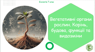Урок на тему "Вегетативні органи рослин. Корінь, будова, функції та видозміни" (Конспект, презентація, лабораторна робота, робочі аркуші)