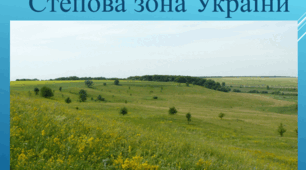Презентація "Степ" 4 клас