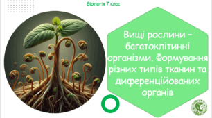 Урок на тему "Вищі рослини – багатоклітинні організми. Формування різних типів тканин та диференційованих органів" (Конспект, презентація, робочі аркуші)