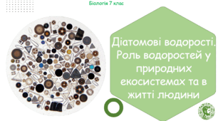 Урок на тему "Діатомові водорості. Роль водоростей у природних екосистемах та в житті людини" (Конспект, презентація, робочі аркуші)