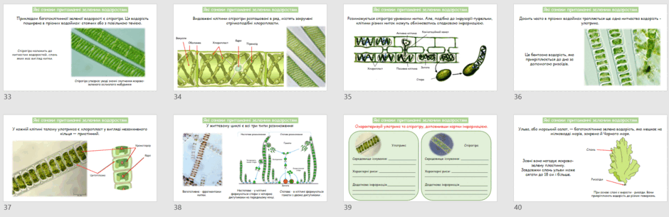 0601xz3o-6394-940x305.png