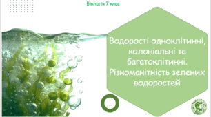 Урок на тему "Водорості одноклітинні, колоніальні та багатоклітинні. Різноманітність зелених водоростей" (Конспект, презентація, робочі аркуші)
