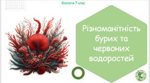Урок на тему "Різноманітність бурих та червоних водоростей" (Конспект, презентація, робочі аркуші)
