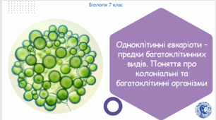 Урок на тему "Одноклітинні евкаріоти – предки багатоклітинних видів. Поняття про колоніальні та багатоклітинні організми" (Конспект, презентація, робочі аркуші)