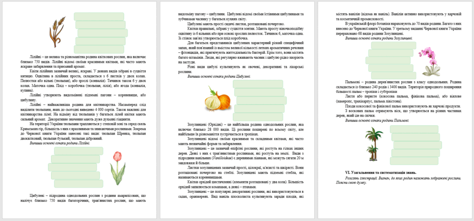 0601y1g3-07e9-940x440.png