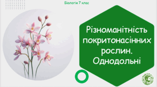 Урок на тему "Різноманітність покритонасінних рослин. Однодольні" (Конспект, презентація, робочі аркуші)