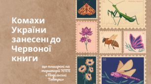 ЯДС. Презентація "Комахи України занесені до Червоної книги"
