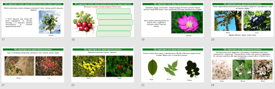 0601y2cm-0876-940x304.png