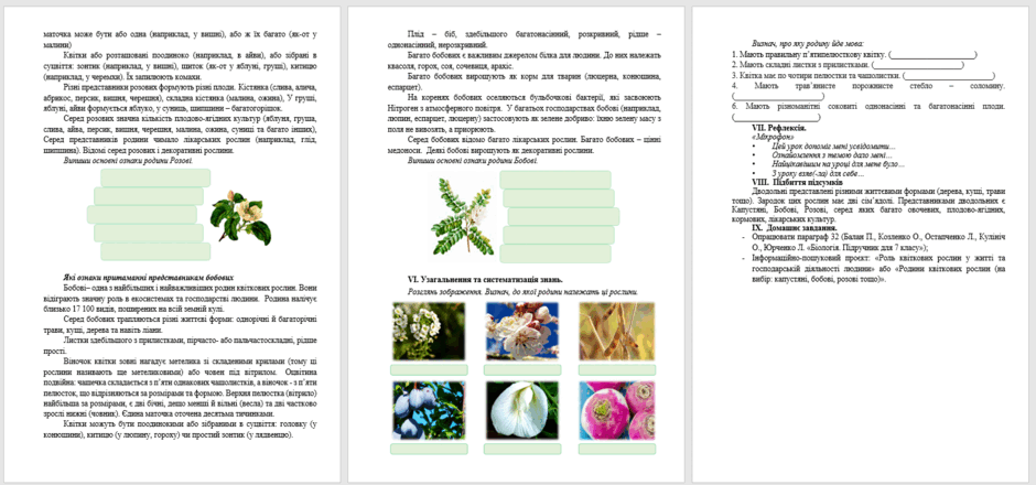 0601y2d0-616a-940x440.png