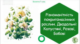 Урок на тему "Різноманітність покритонасінних рослин. Дводольні: Капустяні, Розові, Бобові" (Конспект, презентація, робочі аркуші)