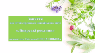Заняття для дітей середнього дошкільного віку : "ДІТЯМ ПРО ЛІКАРСЬКІ РОСЛИНИ"